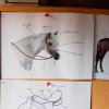 BTEC Equine Studies